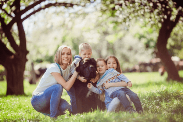 A picture of a contented Cane Corso engaging with a family, which includes kids, to highlight the breed's potential as a kind and gentle family pet