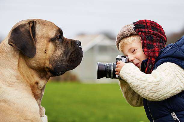 little boy holding a camera and taking photos of his cane corso dog